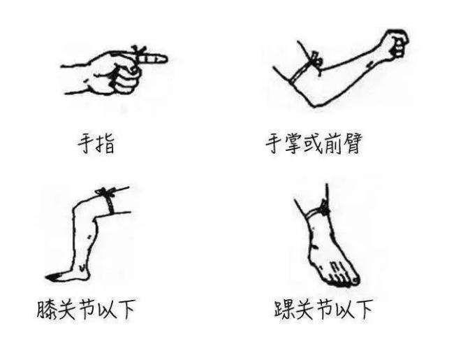 26樓馬桶里鉆出1.5米長蛇 小區(qū)蛇患頻發(fā)引擔(dān)憂