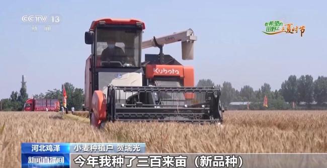 訂單護(hù)航+科技助力 各地?fù)屪マr(nóng)時守好“糧袋子”