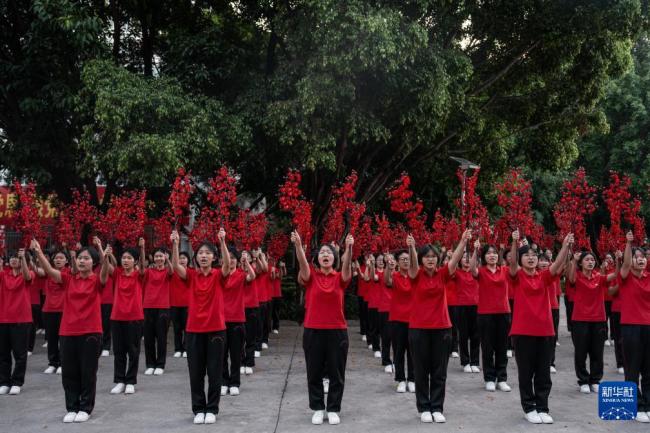 那些被張桂梅送出大山的學(xué)生如今怎么樣了 點(diǎn)亮希望,回饋家鄉(xiāng)