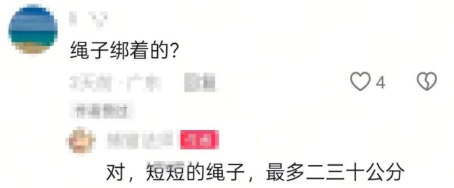 陽朔鸕鶿疑被繩索拴在船頭 水鳥狀況引擔憂