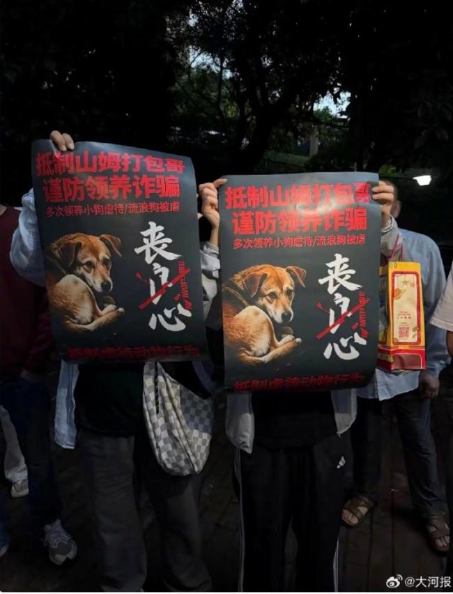 从山姆打包哥处救出小狗状态堪忧