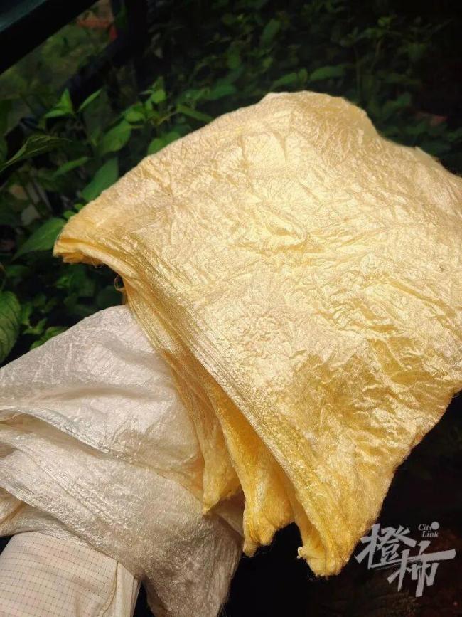 半夜醒來老公一個(gè)人坐客廳剝繭：耗時(shí)17天剝繭、煮繭、拉蠶絲兜，終于變成2床蠶絲被
