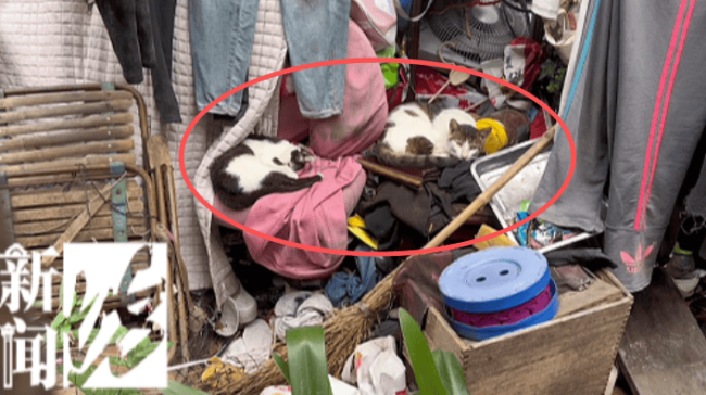 六旬男子家里被堆成垃圾山 鄰居苦不堪言