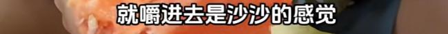 120斤“西瓜王”即將拍賣(mài) 1元起拍引關(guān)注