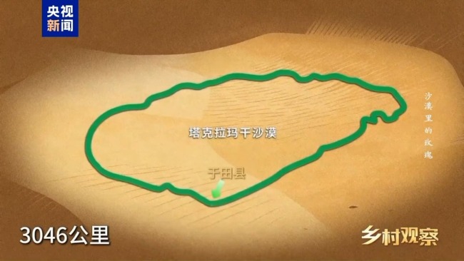 荒漠也可以成花海 看“沙漠玫瑰”背后的生態(tài)之變