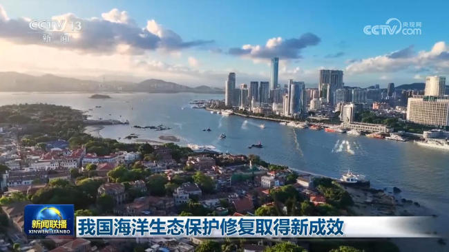 我国海洋生态保护修复取得新成效