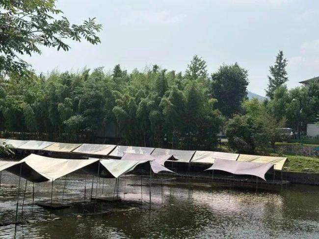 市民苕溪边露营遭遇附近村民收费 夏日亲水露营收费引争议