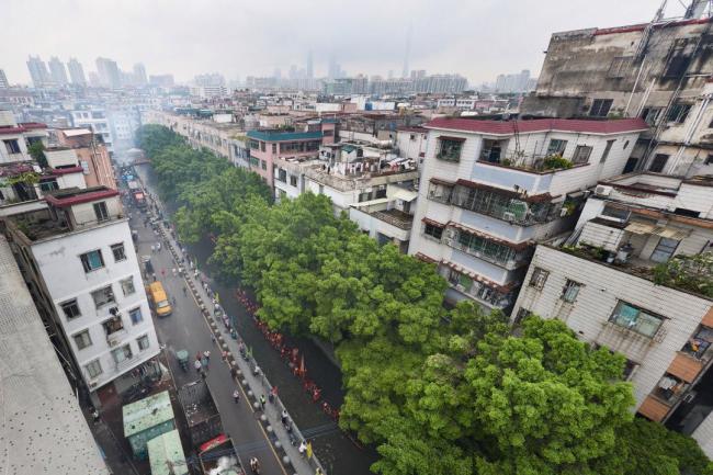 广州“龙船景”场面热闹 传统与现代共生