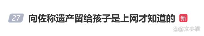 向佐称遗产留给孩子是上网才知道的