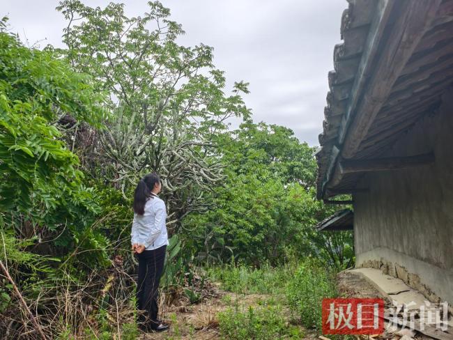多名学生违背张桂梅忠告回到大山 反哺家乡传递薪火