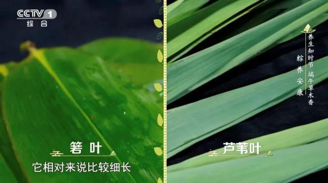 今天吃粽子前先看这个 适合不同人群的粽子吃法