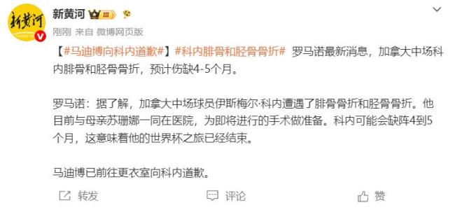 科内骨折结束世界杯之旅 马迪博道歉