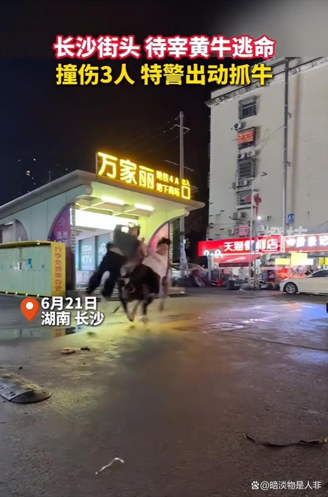长沙街头黄牛撞伤3人 特警出动