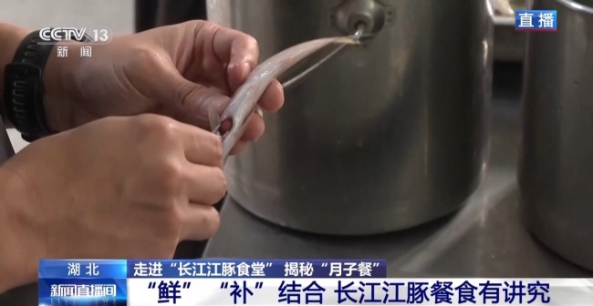 “止跌回升”多元保护体系守护长江江豚