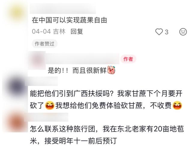 外国游客涌入中国农村体验干农活 乡村游成新风尚