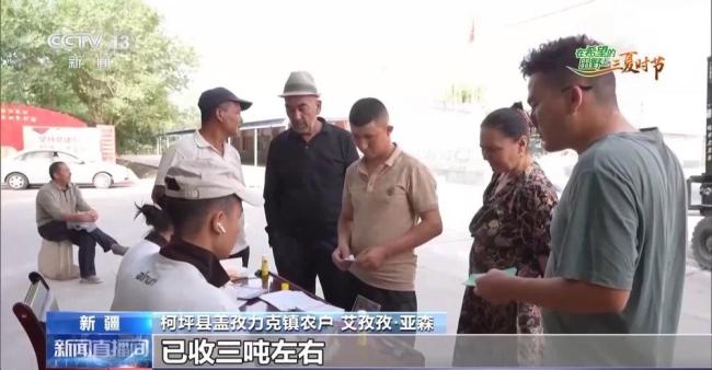 全国多地夏收夏管稳步推进 科技助力高效作业