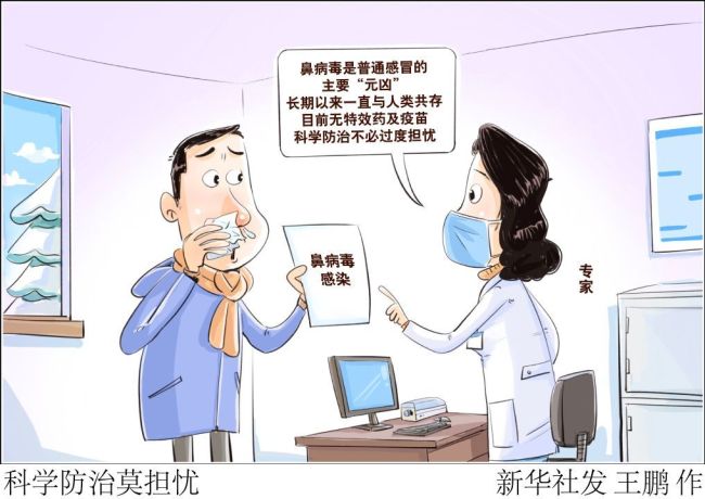鼻病毒高发 医生提醒莫盲目用药