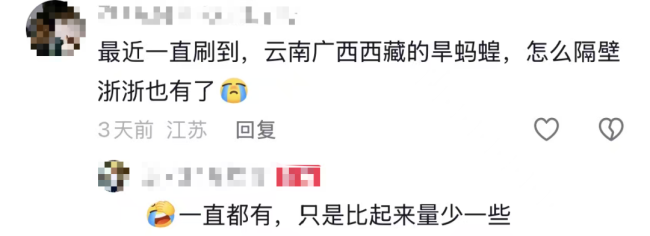 “当时毫无察觉，血流了7个多小时！”上海一女子在浙江爬山时被咬，没有痛感 蚂蟥叮咬引发关注