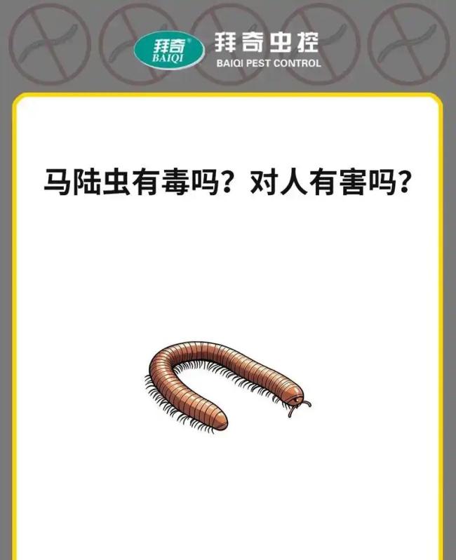 公园树下“千足虫”横行 专家科普 城市人对自然的陌生感