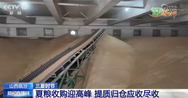  “良种+良机+良技”奏响智慧农业丰产曲
