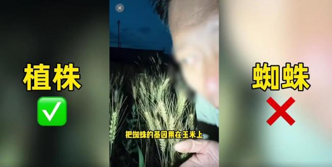 农业谣言岂能如此“变态”
