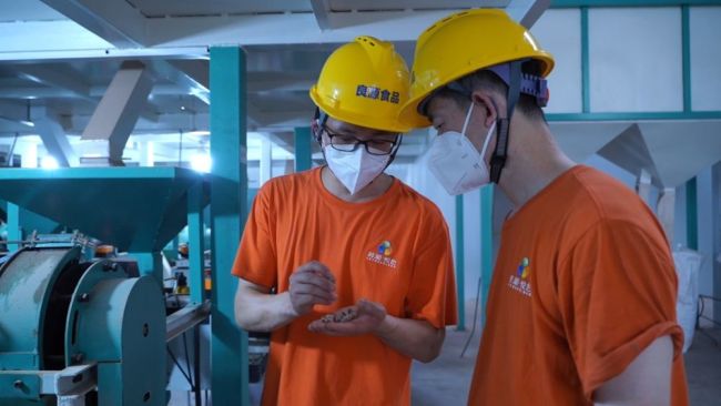 因地制宜兴产业 深耕乡土谋振兴