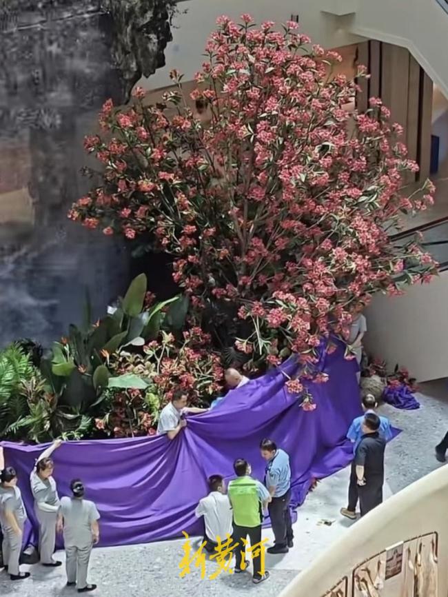 商户在商场坠楼身亡 官方成立调查组 排除刑事案件