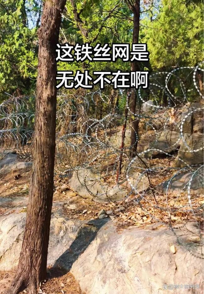 泰山的“公开信”是道歉还是辩解 我没错