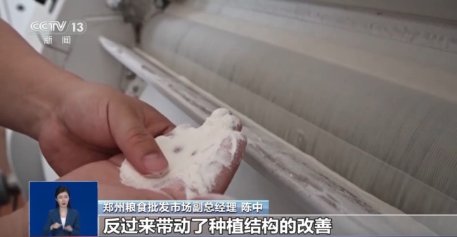 夏粮收购进入高峰期 市场有哪些新变化？