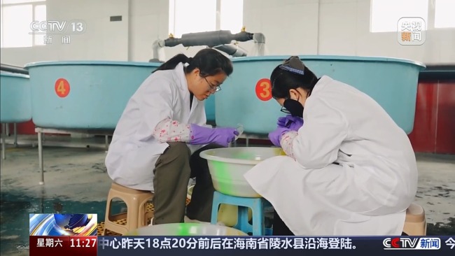 科技监测 双线守护青海湖湟鱼洄游