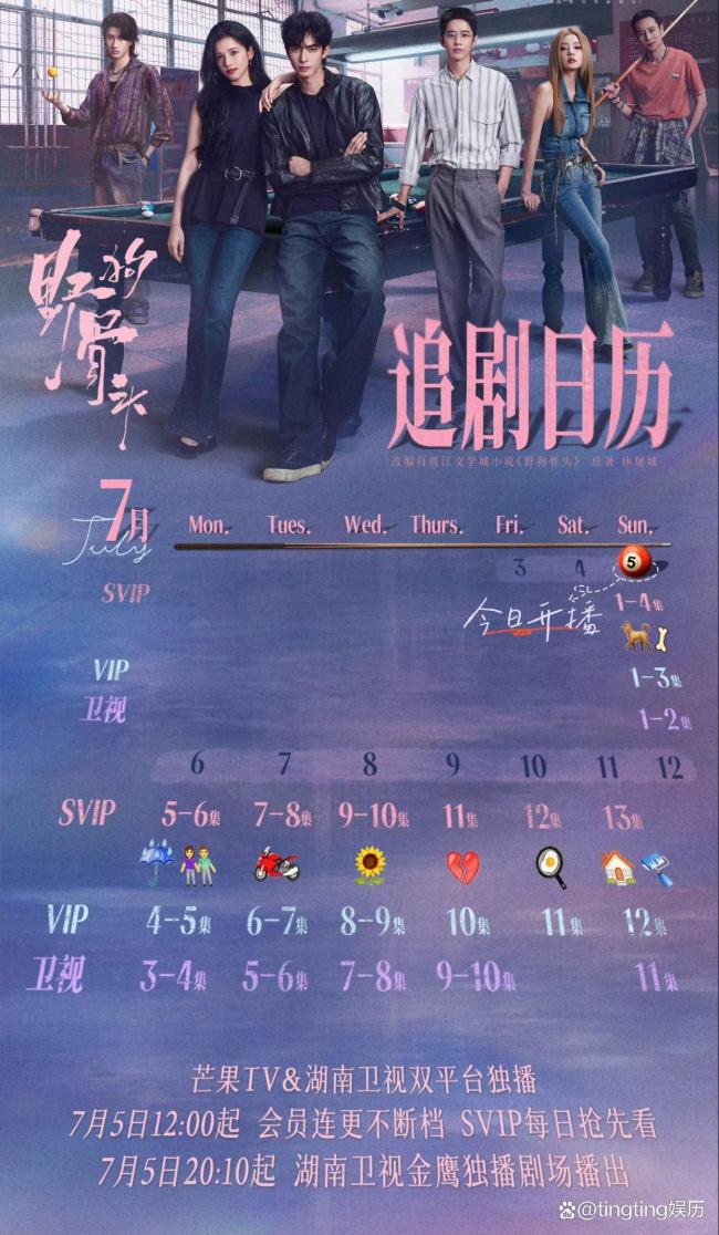 野狗骨头节奏 新剧开播追剧日历