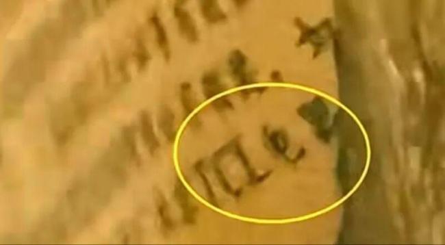 国家一级文物上有TCL广告?品牌回应