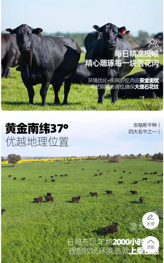 从澳大利亚进口的牛肉价格为何暴涨 关税政策引发涨价潮