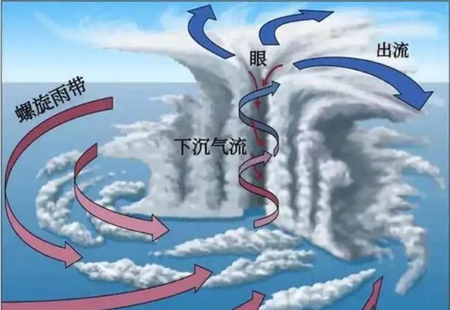超级台风“巴威”可能一路刮到东北 气象史上罕见“迷踪步”