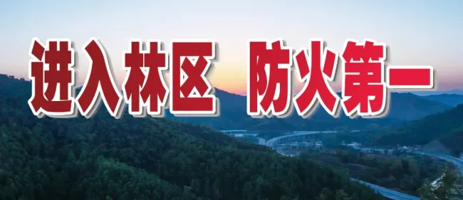 暴雨天避险安全提醒 防范次生灾害