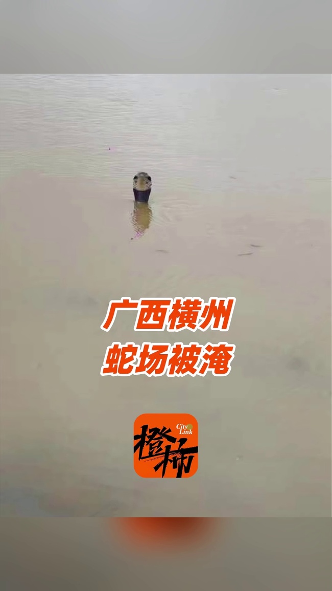 被蛇咬伤村民在家看到五六条蛇