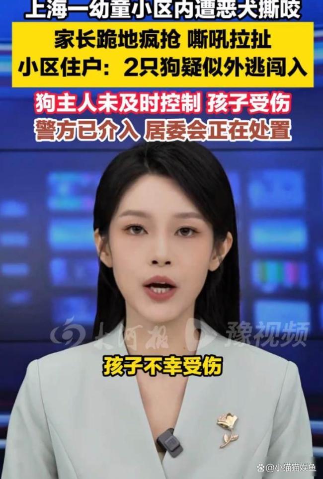 上海一幼童在小区内被狗撕咬 管理漏洞引发热议