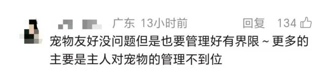 “gaga”深圳一门店被曝狗上桌进食 宠物友好界限引争议