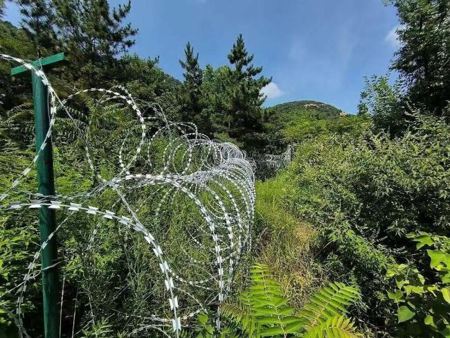 泰安景区现有的刀片式隔离网将拆除或替代