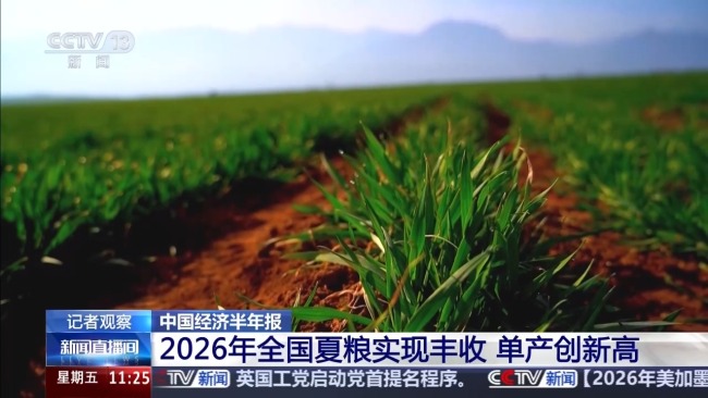 全国夏粮获丰收 单产创新高
