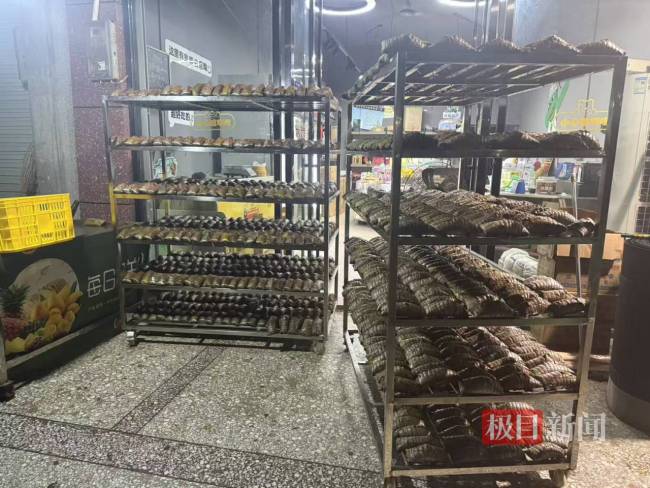 女子煮2200个粽子送往受灾乡镇 爱心汇聚共渡难关
