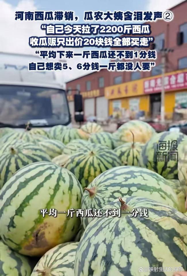 瓜农2200斤西瓜收瓜贩仅出价20元 低价困境引关注