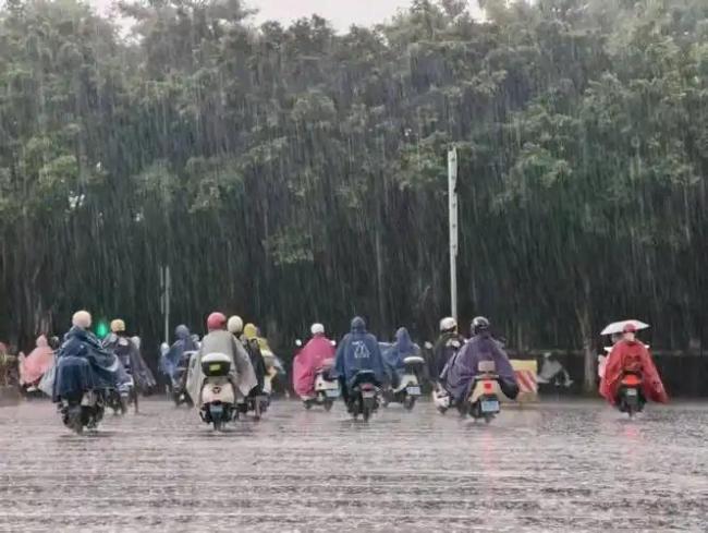 大雨中吃盒饭的消防员找到了 暴雨中的坚守与奉献