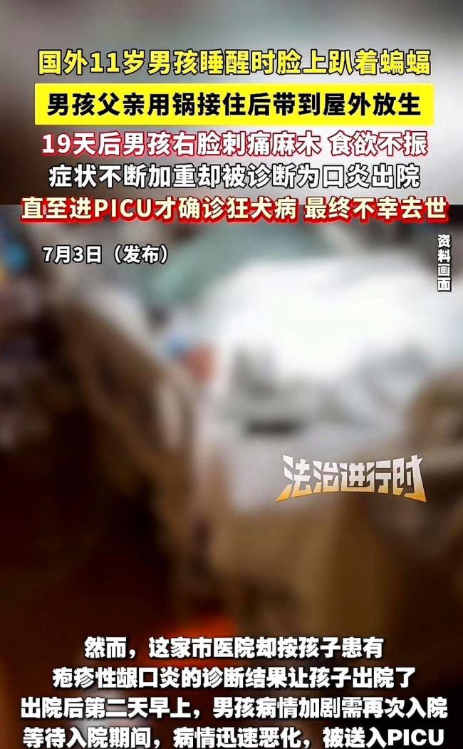 10岁男孩见蝙蝠以为去世妈妈回来了 致命疏忽引发悲剧