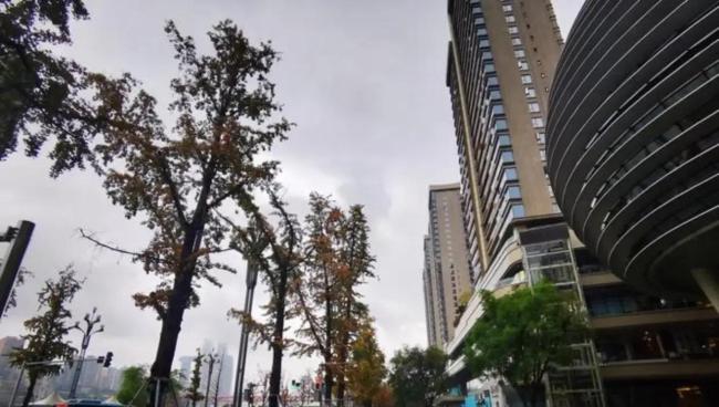 山西网友被重庆高温热到怀疑人生 雨季过后或迎猛热