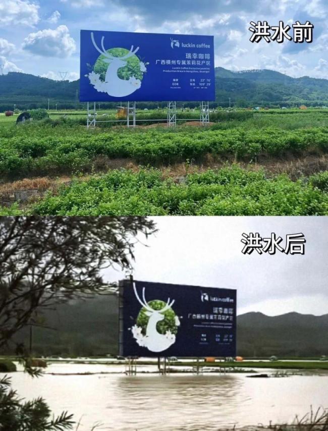 茶饮会因茉莉花受灾集体涨价吗 供应链承压引发关注