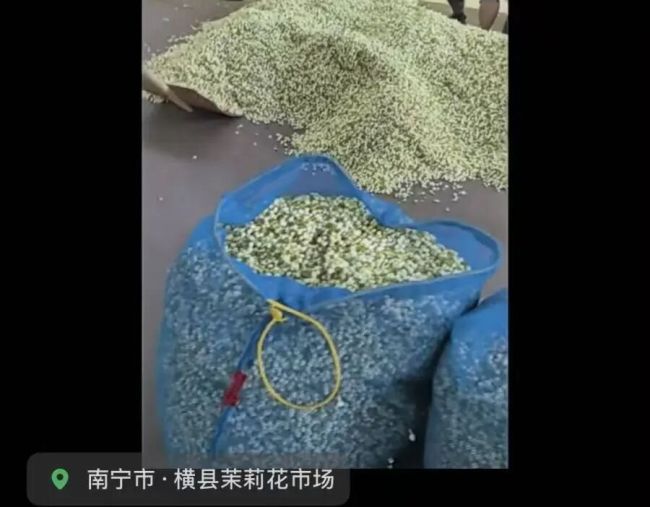 全国8成茉莉原料产地被淹 茶商回应