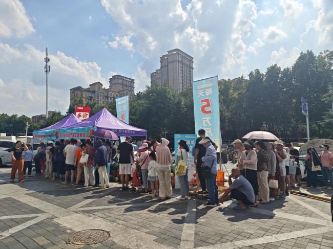 爱心企业收购20万斤西瓜免费发放 助农解暑暖人心