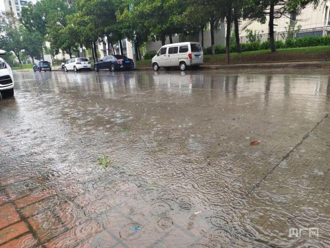 台风巴威北上 直击沈阳暴雨 多地停课停工应对