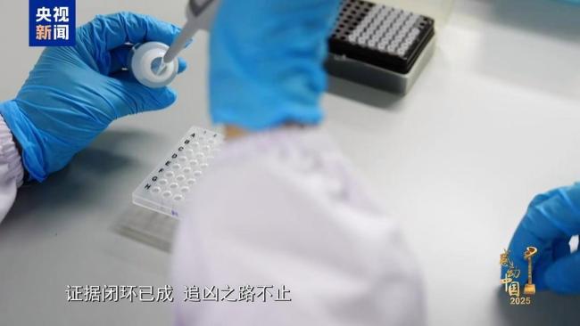 缅北犯罪案2吨泥里找指甲大关键证据 正义无畏前行